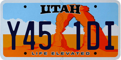 UT license plate Y451DI