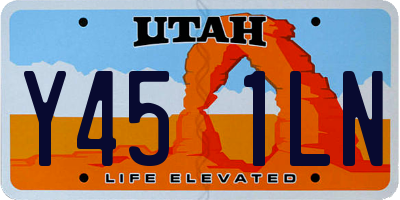 UT license plate Y451LN