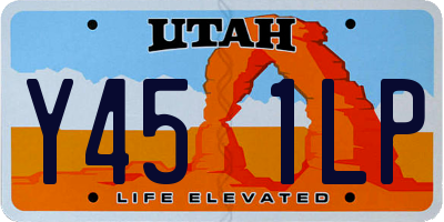 UT license plate Y451LP