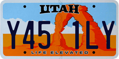 UT license plate Y451LY