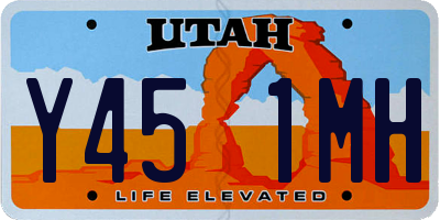 UT license plate Y451MH