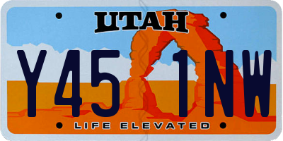 UT license plate Y451NW
