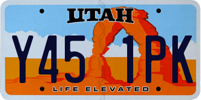UT license plate Y451PK