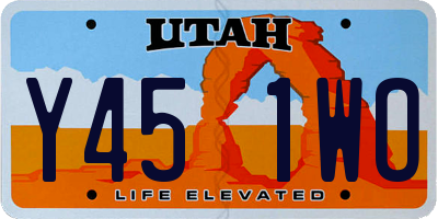 UT license plate Y451WO