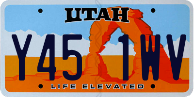 UT license plate Y451WV