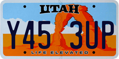 UT license plate Y453UP