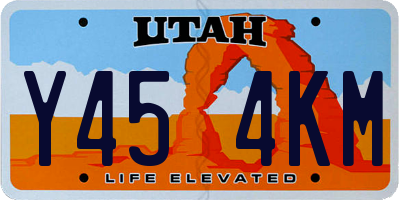 UT license plate Y454KM
