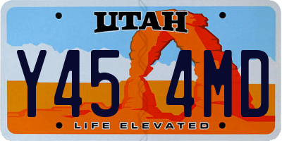 UT license plate Y454MD