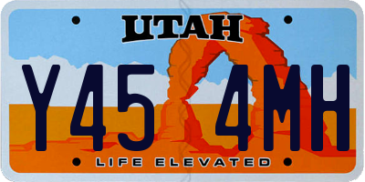 UT license plate Y454MH