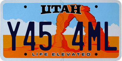 UT license plate Y454ML