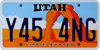 UT license plate Y454NG