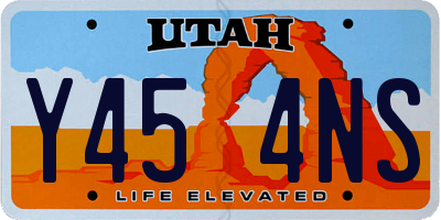 UT license plate Y454NS