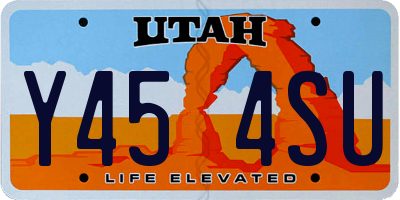 UT license plate Y454SU