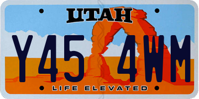 UT license plate Y454WM