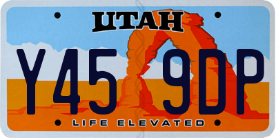 UT license plate Y459DP