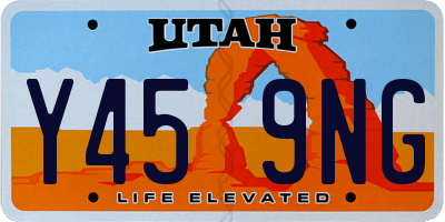 UT license plate Y459NG