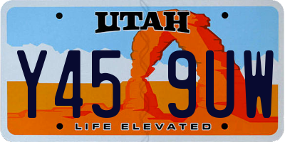 UT license plate Y459UW
