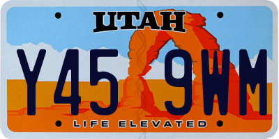 UT license plate Y459WM