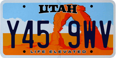 UT license plate Y459WV