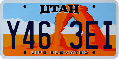 UT license plate Y463EI