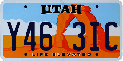 UT license plate Y463IC