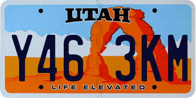 UT license plate Y463KM