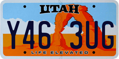 UT license plate Y463UG