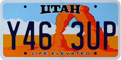 UT license plate Y463UP