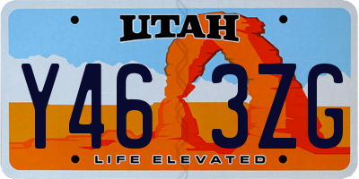 UT license plate Y463ZG