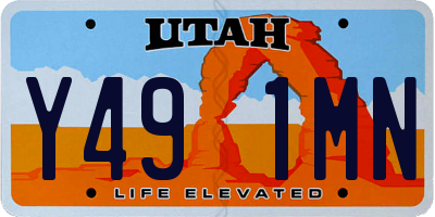 UT license plate Y491MN