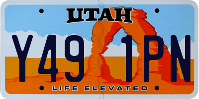 UT license plate Y491PN