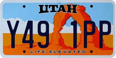 UT license plate Y491PP