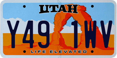 UT license plate Y491WV