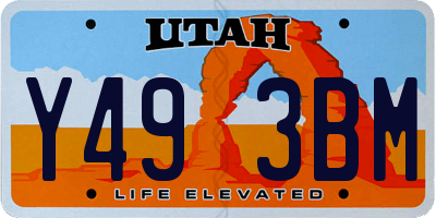 UT license plate Y493BM