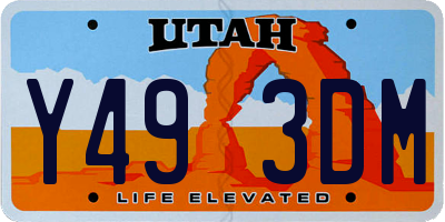 UT license plate Y493DM
