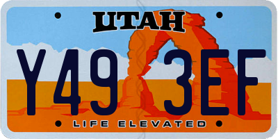 UT license plate Y493EF