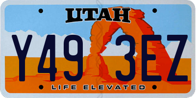 UT license plate Y493EZ