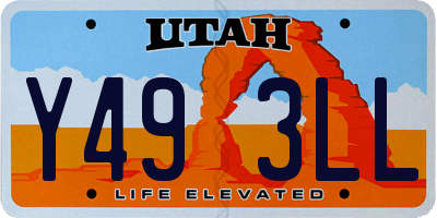UT license plate Y493LL
