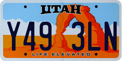 UT license plate Y493LN