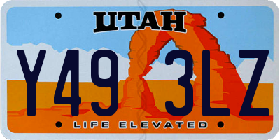 UT license plate Y493LZ