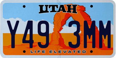 UT license plate Y493MM