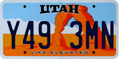 UT license plate Y493MN