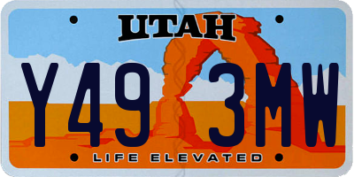 UT license plate Y493MW