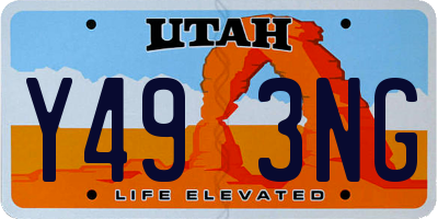 UT license plate Y493NG