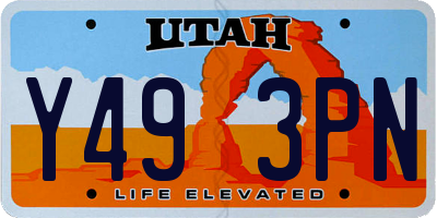 UT license plate Y493PN