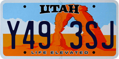 UT license plate Y493SJ