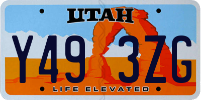 UT license plate Y493ZG