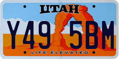 UT license plate Y495BM