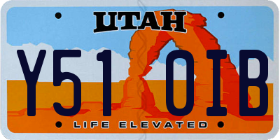 UT license plate Y510IB