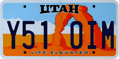 UT license plate Y510IM